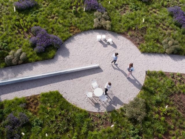 The Garden with 30,000 Plants